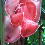 IMG_1590