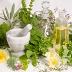healing herbs